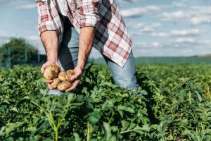 Concorso per abilitazione da agrotecnico