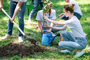 servizio civile graduatorie concorsi